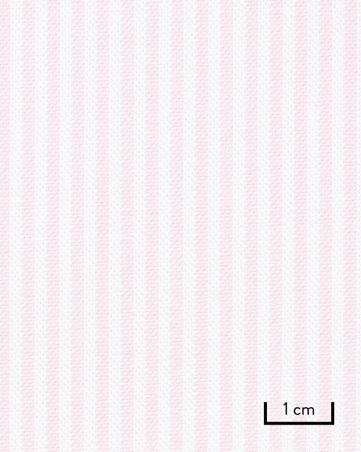 Thomas Mason Pink University Stripe American Oxford Cloth