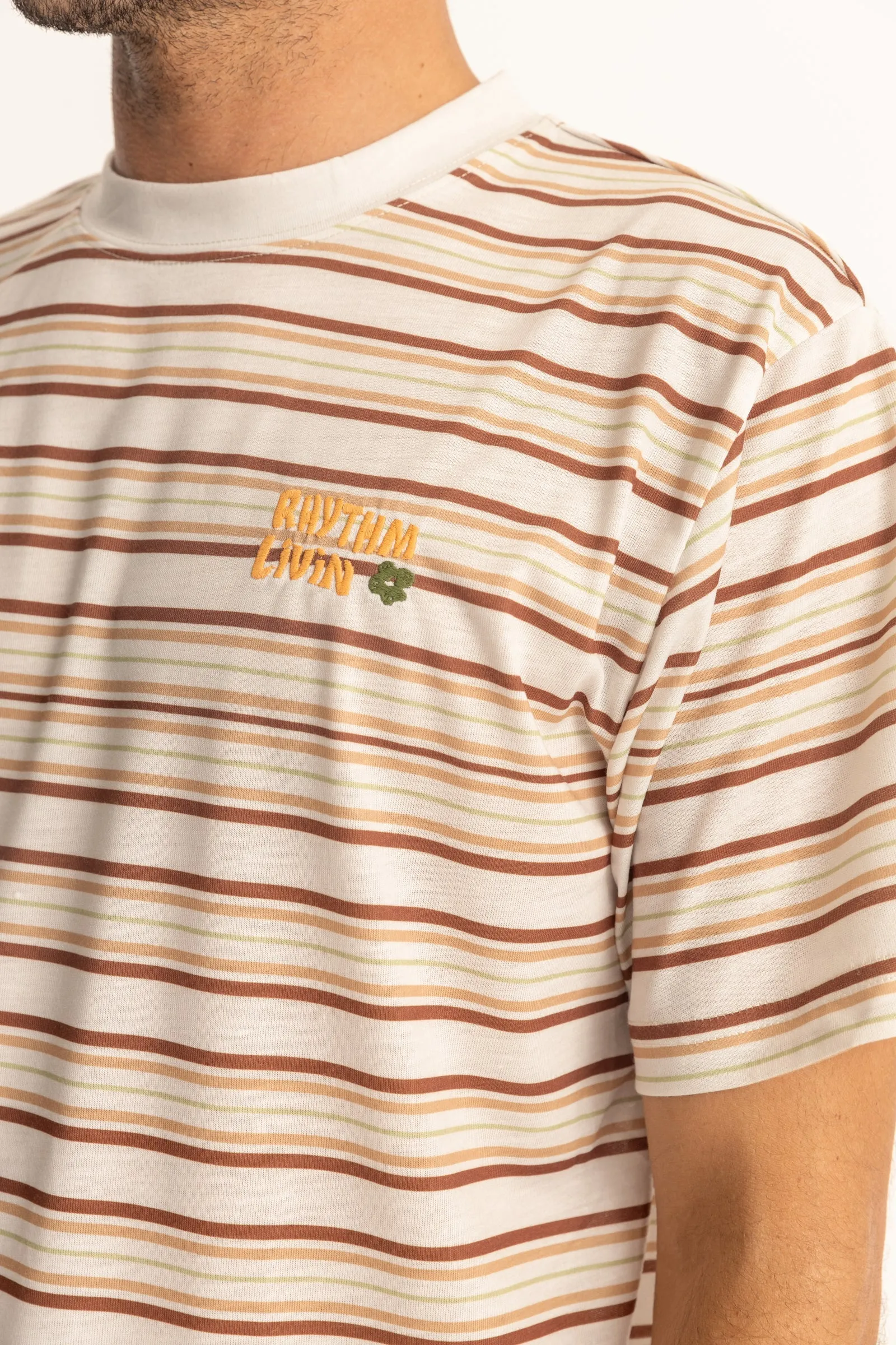 Vintage Stripe Ss T Shirt Natural
