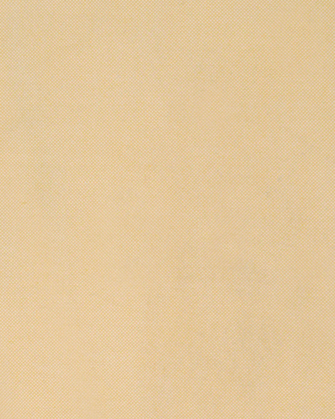 Wrinkle Free Travel Oxford: Egg Nog Yellow